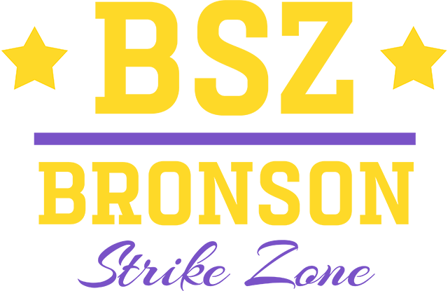 BSZ Logo